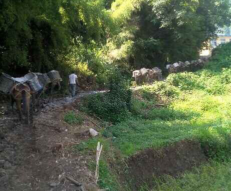 武江区马帮运输队