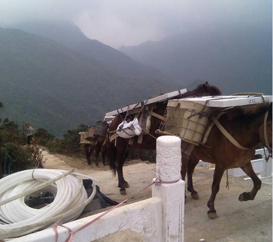 武江区山区马帮运输