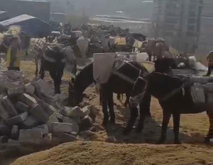 武江区马队山路运输