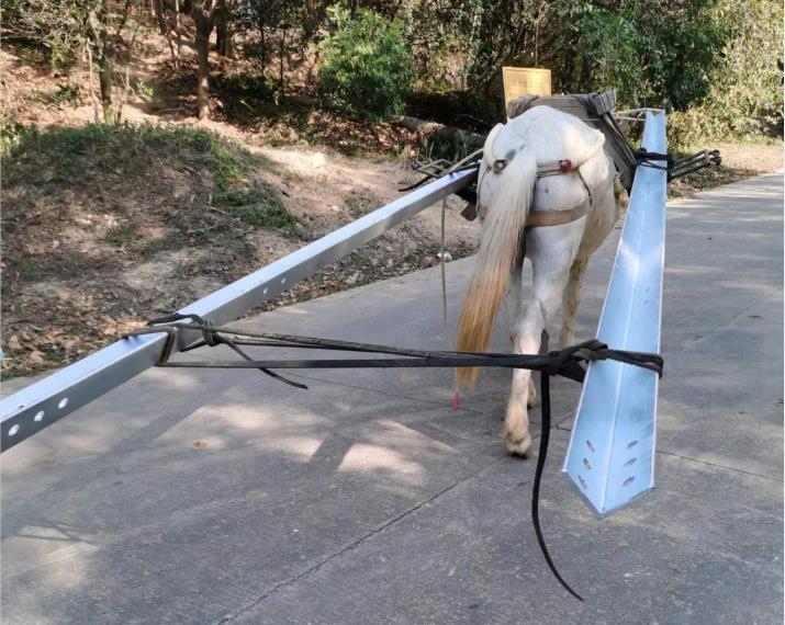 武江区马队搬运