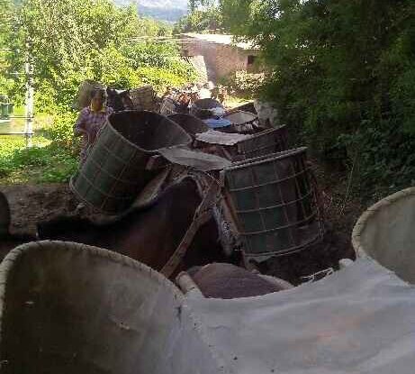 武江区骡马运输队