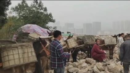 武江区骡马山区运输