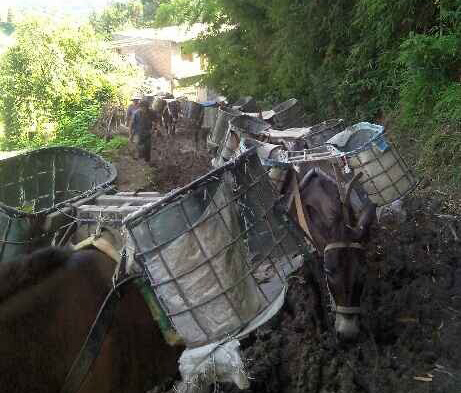 武江区马帮搬运