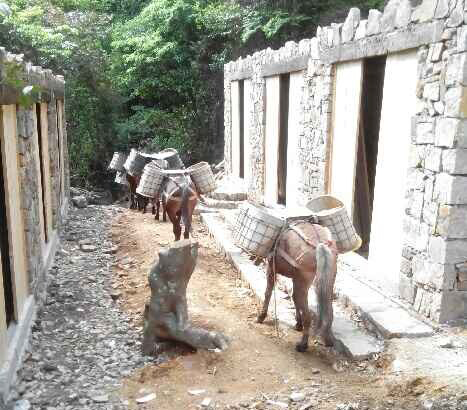 武江区马队运输队